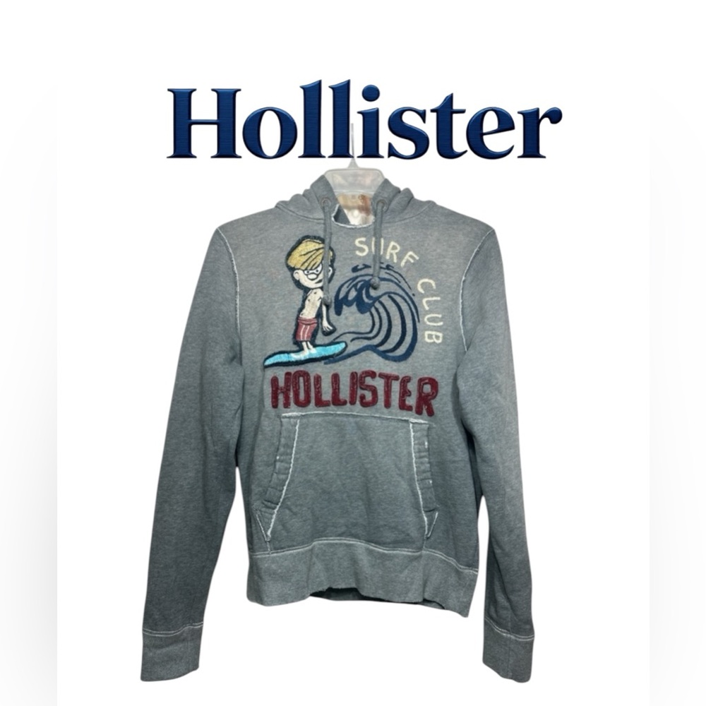 Vintage distressed Waxer Hollister embroidered hoodie Large